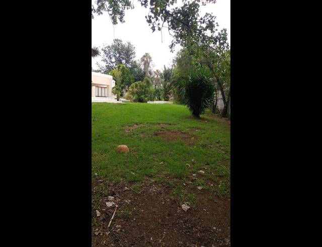 FARM FOR SALE IN SANDOWN